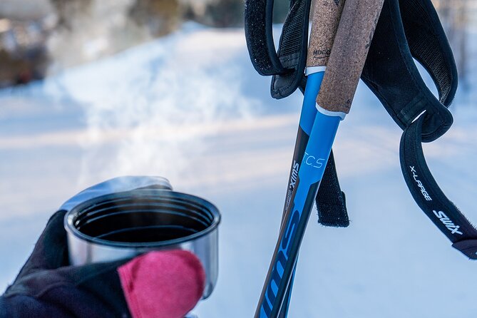 Learn Nordic Skiing - Private Class with Professional Instructor - Who This Lesson Is Best For