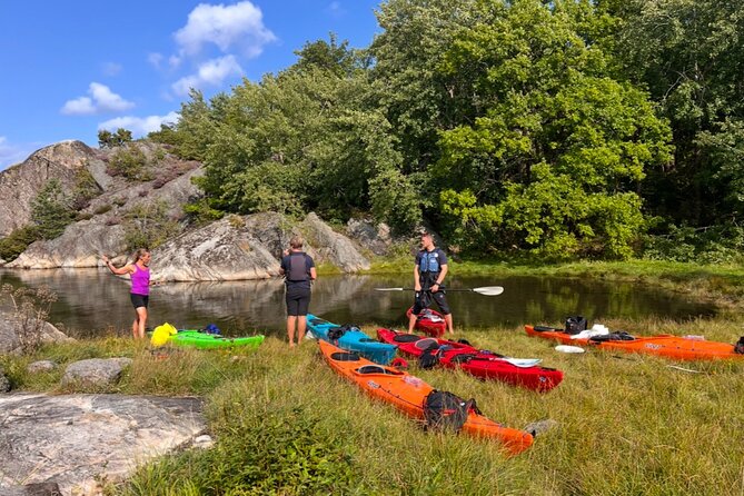 Lillesand Coastal Kayak Tour - Local Nature & Adventure - Nature moments you can realistically look forward to