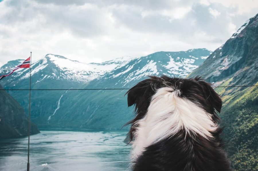 Ljøen, Hellesylt: Ljøen Farm Tour - Key highlights you should care about
