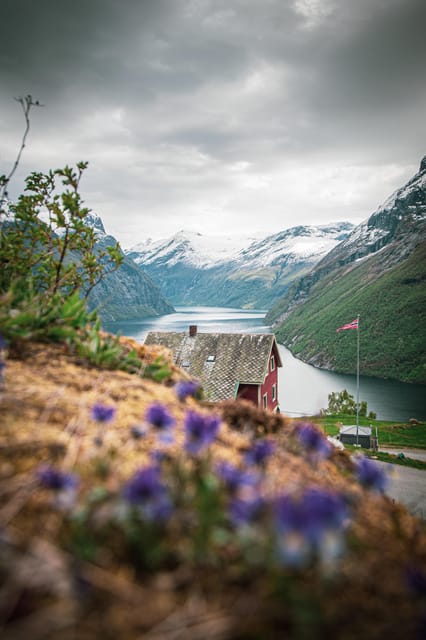Ljøen, Hellesylt: Ljøen Farm Tour - Ljøen Farm above Geirangerfjord: the views are the main event