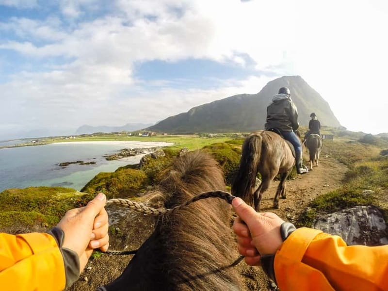 Lofoten: Guided Horse Riding Tour Over Hov and Hovsund - Key points to know before you go