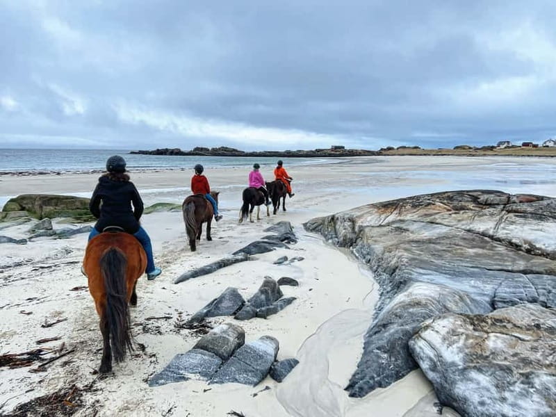 Lofoten: Guided Horse Riding Tour Over Hov and Hovsund - First 20 minutes: helmets, reins, and matching you to a horse