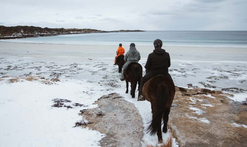 Lofoten: Guided Horse Riding Tour Over Hov and Hovsund - Horses, gear, and safety: what’s provided and what’s on you