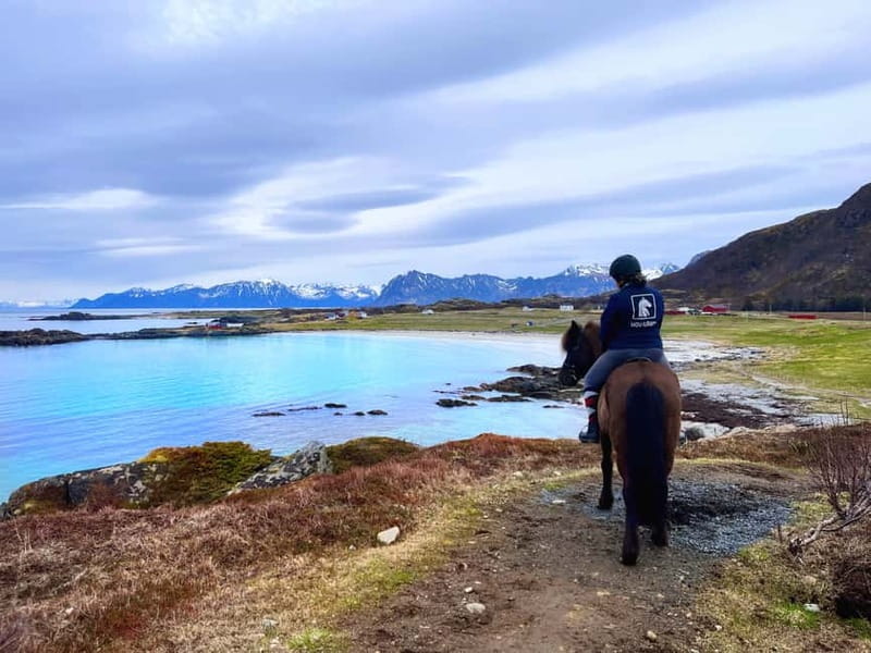 Lofoten: Guided Horse Riding Tour Over Hov and Hovsund - Where you meet: Hov Horse Farm in Gimsøysand