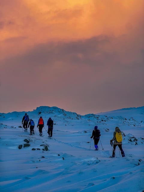 Lofoten: Half Day Snowshoe Tour - What the 4-hour snowshoe hike is really like on the ground