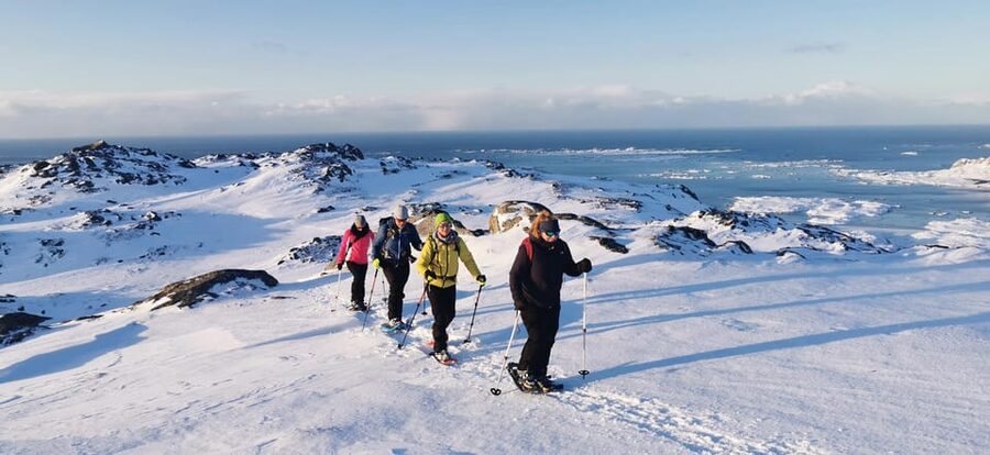 Lofoten: Half Day Snowshoe Tour - Winter wildlife spotting, and how to watch without messing it up