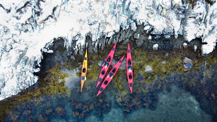 Lofoten: Half-Day Winter Kayak Adventure - Is $115 Worth It for a 3-Hour Winter Kayak?