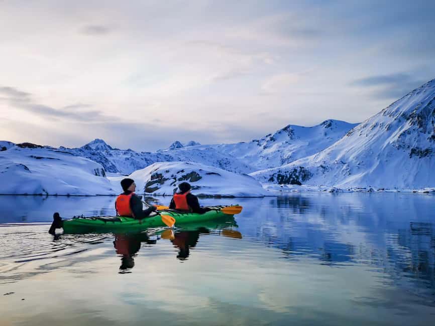 Lofoten: Half-Day Winter Kayak Adventure - Should You Book This Lofoten Half-Day Winter Kayak?