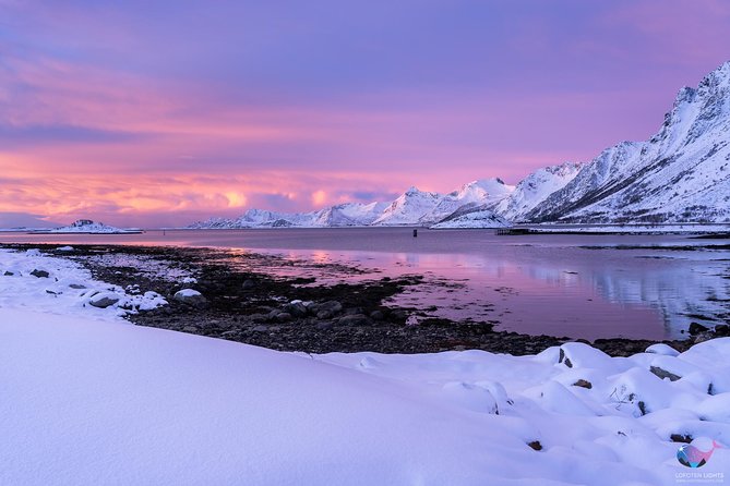 Lofoten Highlights Photo Tour - Henningsvær & Haukland - How the small minivan schedule keeps your shots practical