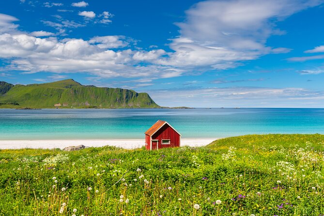 Lofoten Highlights Photo Tour - Reine, Hamnøy & Å - Key highlights to know before you go