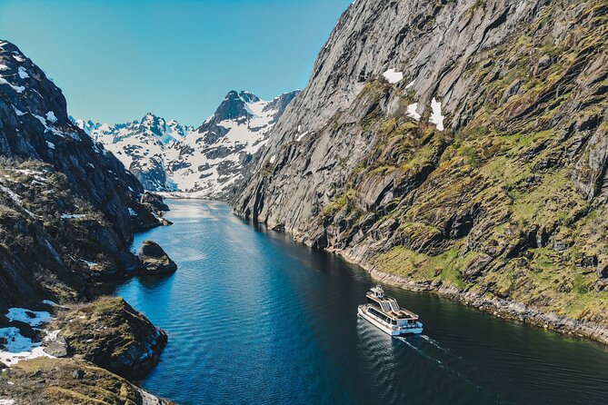 Lofoten Island: Silent Trollfjord Cruise from Svolvær - Key highlights for your Trollfjord cruise