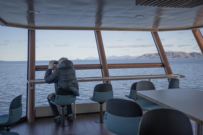Lofoten Island: Silent Trollfjord Cruise from Svolvær - Multi-level viewing, photo angles, and the narration trade-off