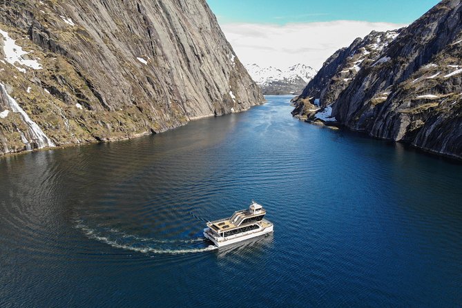 Lofoten Island: Silent Trollfjord Cruise from Svolvær - Food, coffee, and onboard comfort on a 3-hour trip