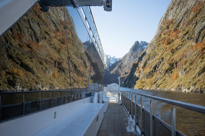 Lofoten Island: Silent Trollfjord Cruise from Svolvær - Weather, wildlife odds, and how to plan your day