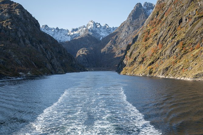 Lofoten Island: Silent Trollfjord Cruise from Svolvær - Should you book this Trollfjord cruise from Svolvær?