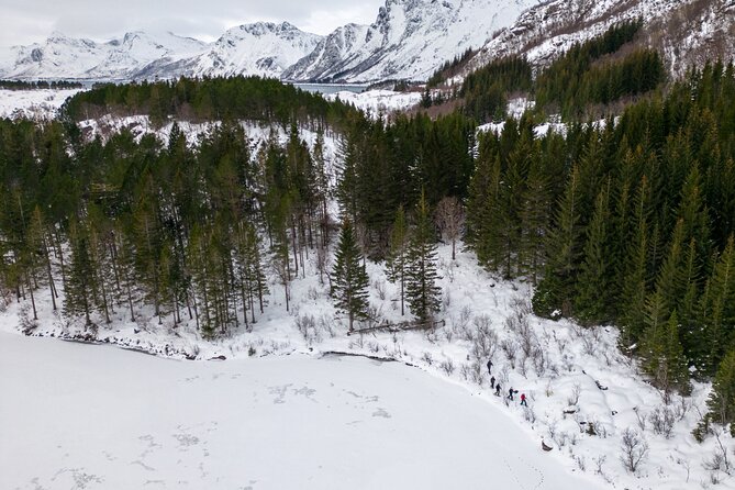 Lofoten Islands: Guided Snowshoeing Tour - Uphill version - What you’re actually seeing: fjords, frozen lakes, and mountain views