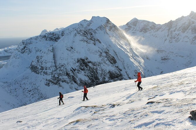 Lofoten Islands: Guided Snowshoeing Tour - Uphill version - The guide experience: clarity, local stories, and a friendly vibe