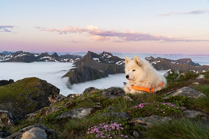 Lofoten Islands: Hiking Into the Wilderness - Price and Value: Is $139.48 Worth It?