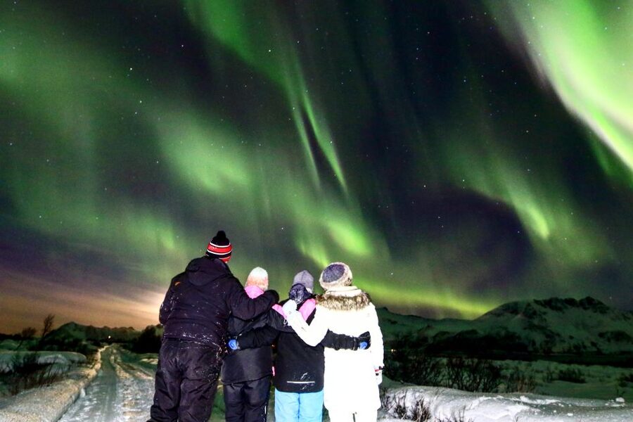 Lofoten: Northern Lights Tour with Photographer - Warm drinks, stories, and what makes the dark night feel less cold