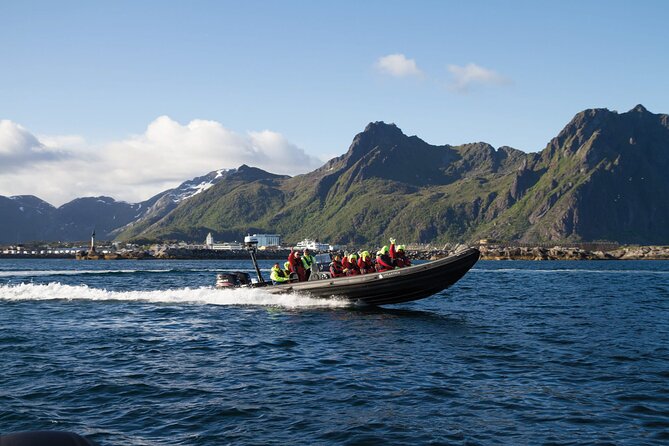 Lofoten RIB Sea Eagle Safari and Trollfjord Cruise - Key Highlights You Will Actually Care About