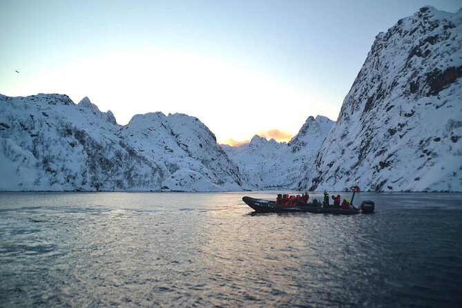 Lofoten RIB Sea Eagle Safari and Trollfjord Cruise - Meeting Point in Svolvær, Timing, and How to Plan Your Day