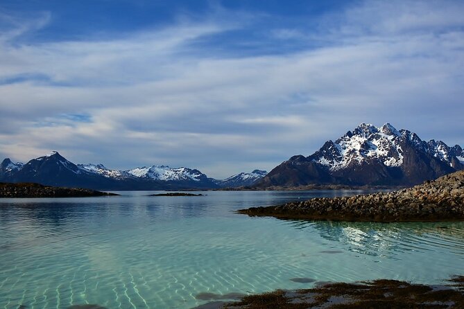 Lofoten RIB Sea Eagle Safari and Trollfjord Cruise - Who This RIB Safari Is Best For