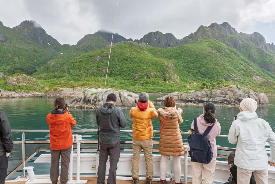 Lofoten: Sea Eagle Sunset Cruise - The Group Size Reality: Sometimes Cozy, Sometimes Crowd Energy