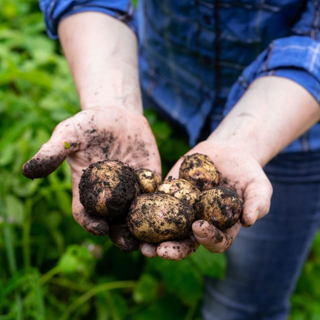 Lofoten (Stamsund and Leknes): Aimees Farm Experience - Who this is best for in Lofoten