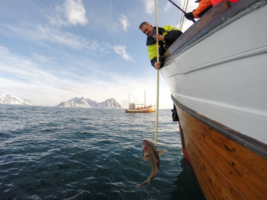 Lofoten: Traditional Fishing Trip - A Real Hands-On Fishing Session on MS Symra