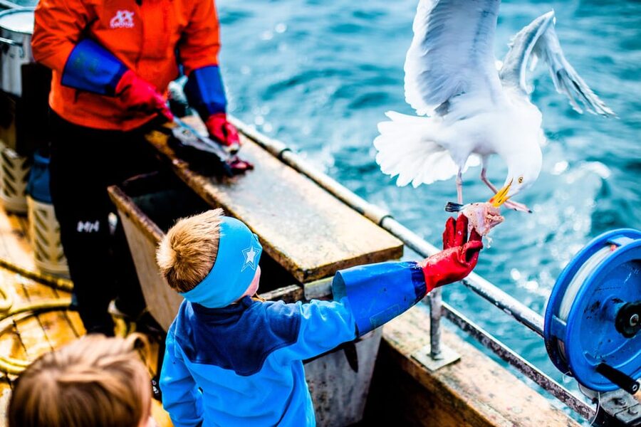 Lofoten: Traditional Fishing Trip - Food, Filleting Skills, and Taking Your Catch Home