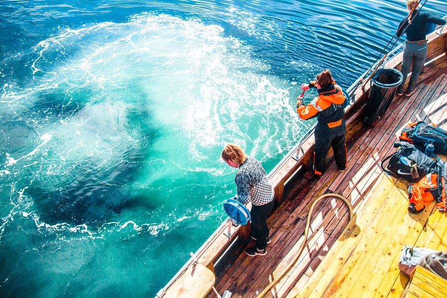Lofoten: Traditional Fishing Trip - Price and Value: Is $146 for 4 Hours Fair?
