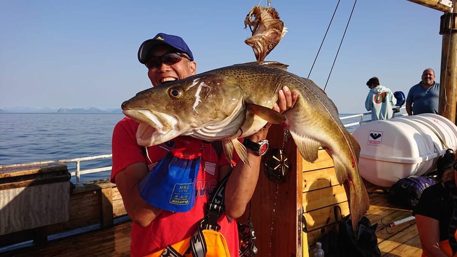 Lofoten: Traditional Fishing Trip - Booking Decision: Should You Book This Lofoten Trip?