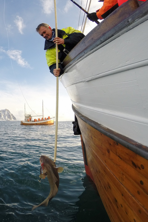 Lofoten: Traditional Fishing Trip - Which Fish You Can Expect in Lofoten Season
