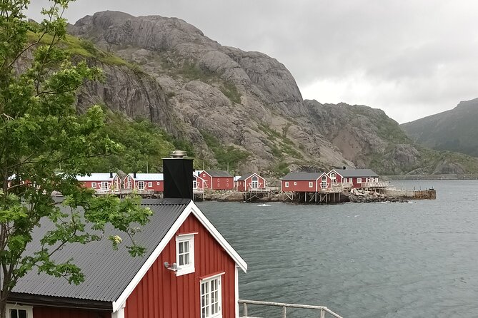 Lofoten VIP PRIVATE Tour from Leknes city / port - Pickup in Leknes, and why it’s a big deal on a shore day