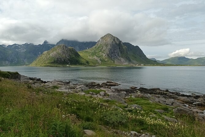 Lofoten VIP PRIVATE Tour from Leknes city / port - Price and value: $526.48 per person for a private day