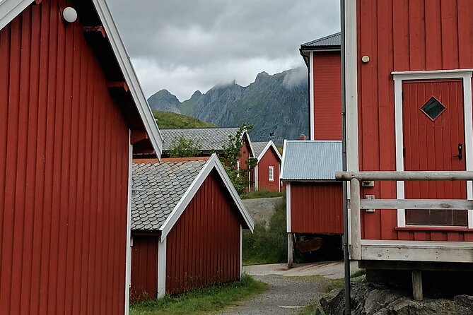 Lofoten VIP PRIVATE Tour from Leknes city / port - Who this tour suits best