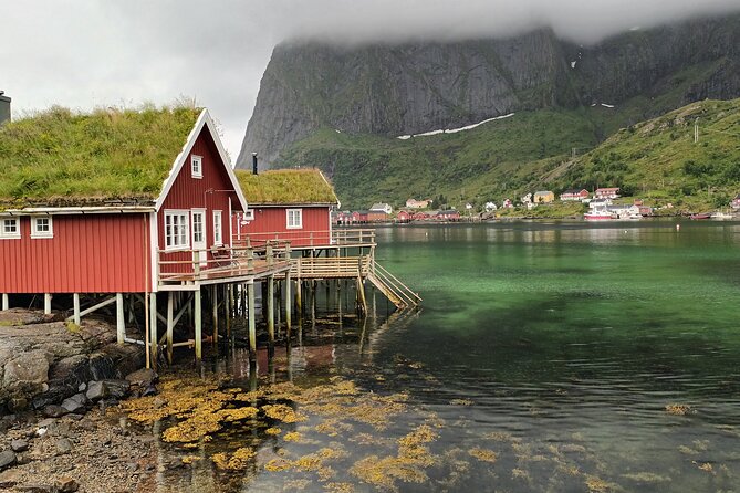Lofoten VIP PRIVATE Tour from Leknes city / port - Should you book this Lofoten VIP private tour?