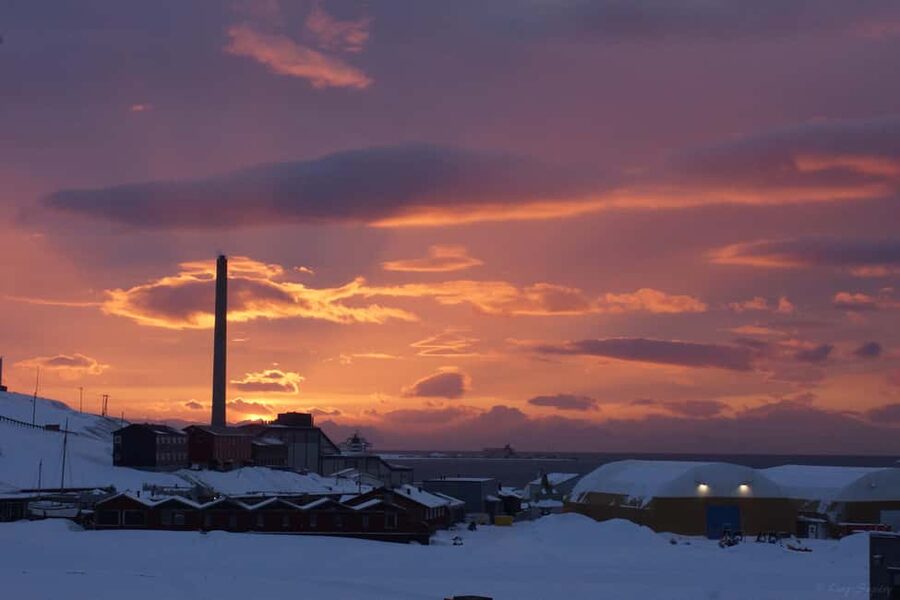 Longyearbyen: Arctic Ocean Swim, Sauna & Sightseeing - The 1-Hour Guided Walk: Stories That Put the Cold Into Context