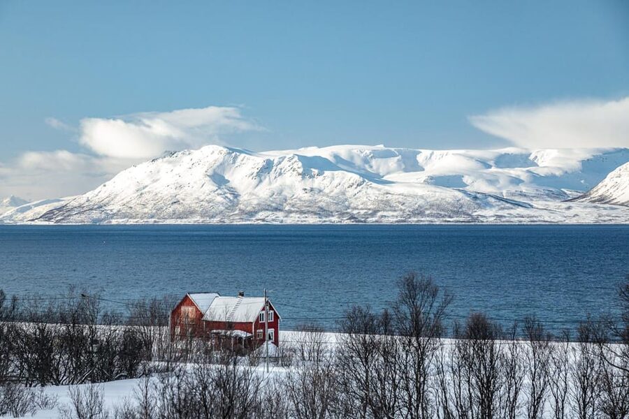 Lyngen: Snowmobile Safari with Lunch in seaside Restaurant - The 1.5-Hour Snowmobile Ride Through Arctic Mountains