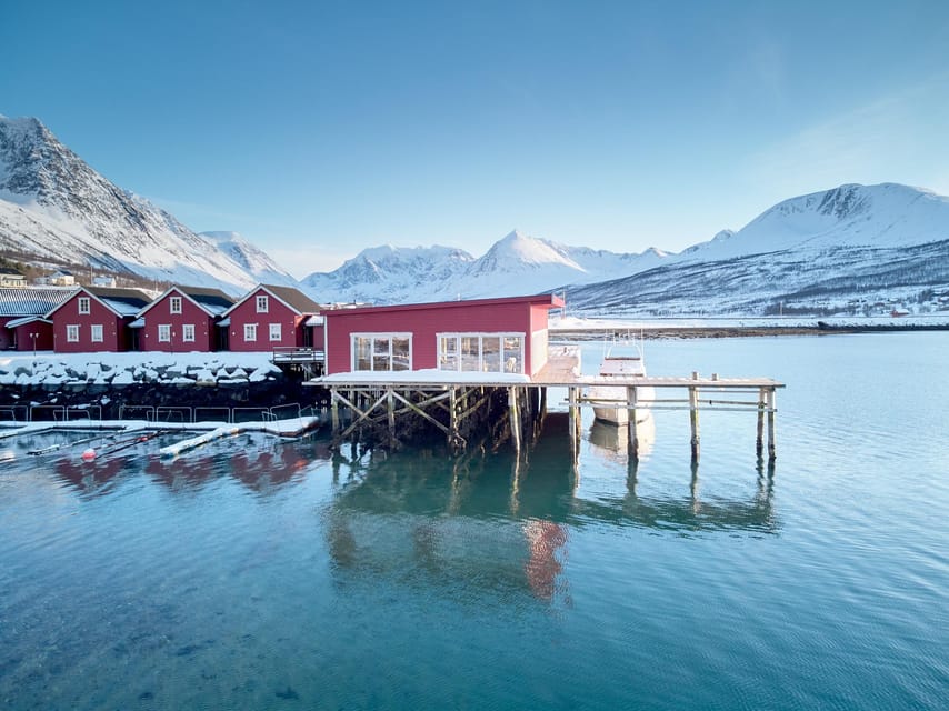 Lyngen: Snowmobile Safari with Lunch in seaside Restaurant - Viewing Stops and Local History That Make the Scenery Stick