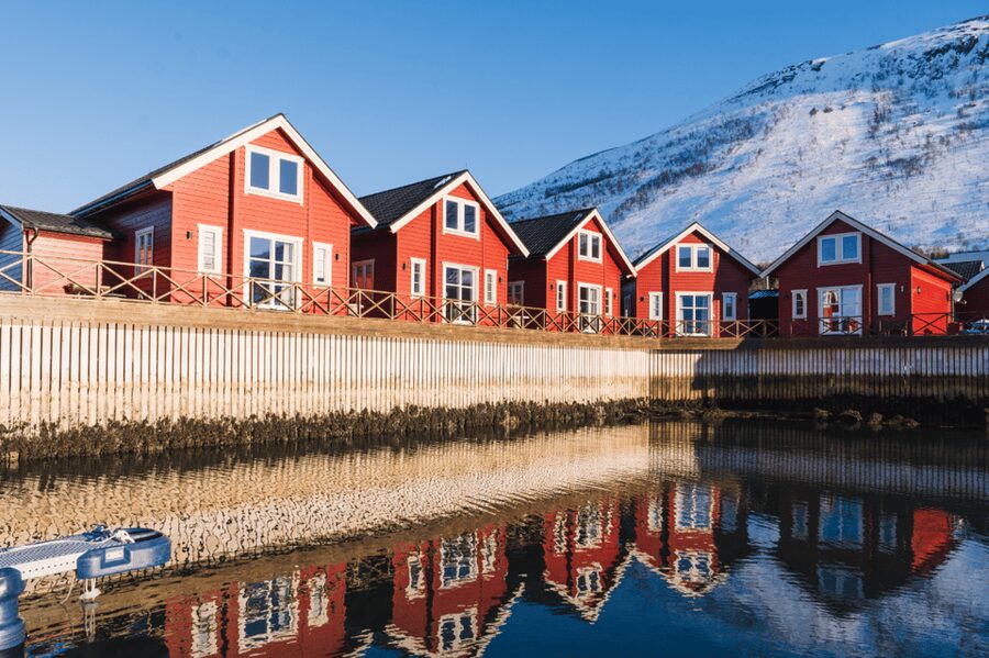 Lyngen: Snowmobile Safari with Lunch in seaside Restaurant - What You Get for the $293 Price (And What It Covers)