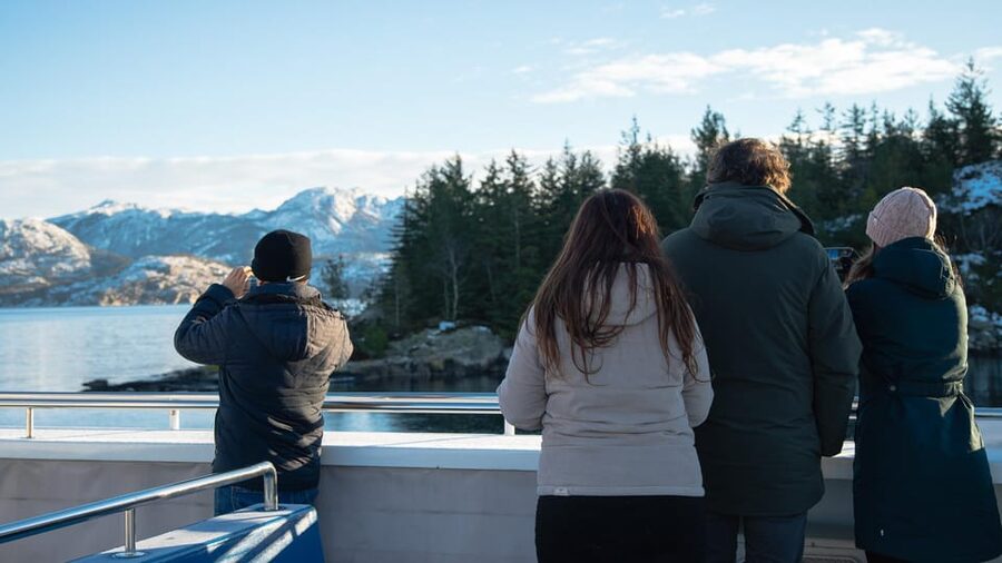 Lysefjorden cruise & Preikestolen guided hike - winter - Key takeaways before you go