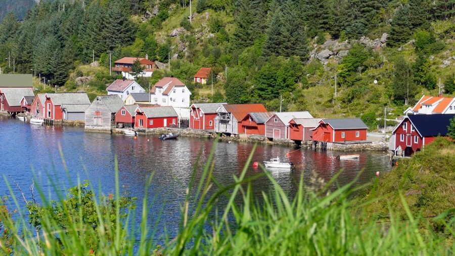 Måløy: Electric Minibus Tour to Kannesteinen - The Coast Drive: Vågsøy Views and Wildlife Time