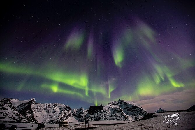 Marianne’s Heaven On Earth Aurora Chaser Tours - UFO and UAP spotting, plus actual aurora science in plain language
