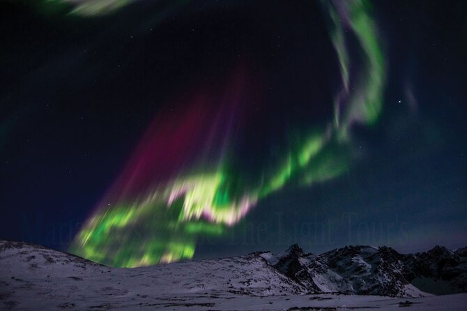 Marianne’s Heaven On Earth Aurora Chaser Tours - The cold part: warm food, hot drinks, and staying comfortable for hours