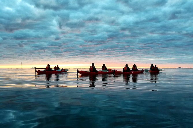Midnight Sun Kayak - Northern Explorer - What You’ll Actually See: Seabirds, Sky Color, and Eggum Mountain
