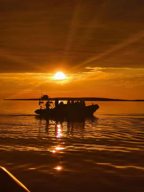Midnight sun safari - The RIB route: narrow straits first, then the ocean side