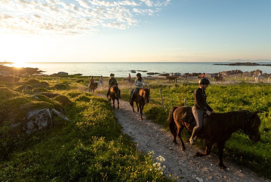 Midnight sun tour - Safety basics that actually matter on a horse tour
