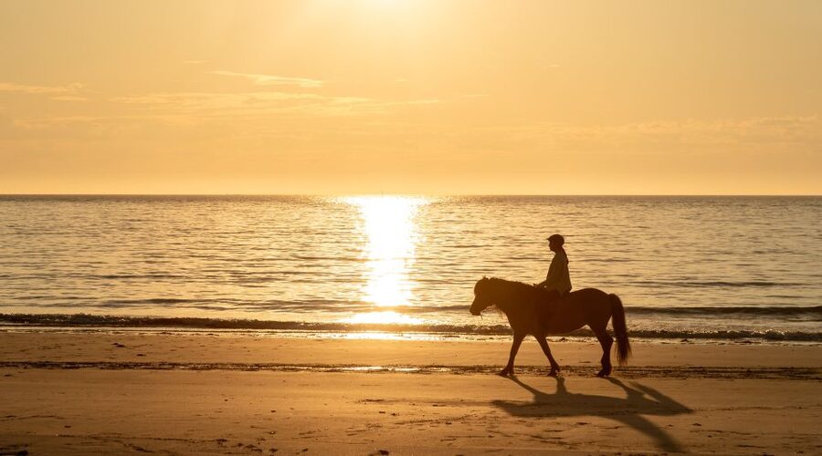 Midnight sun tour - What you might learn from a guide like Liss on the ride