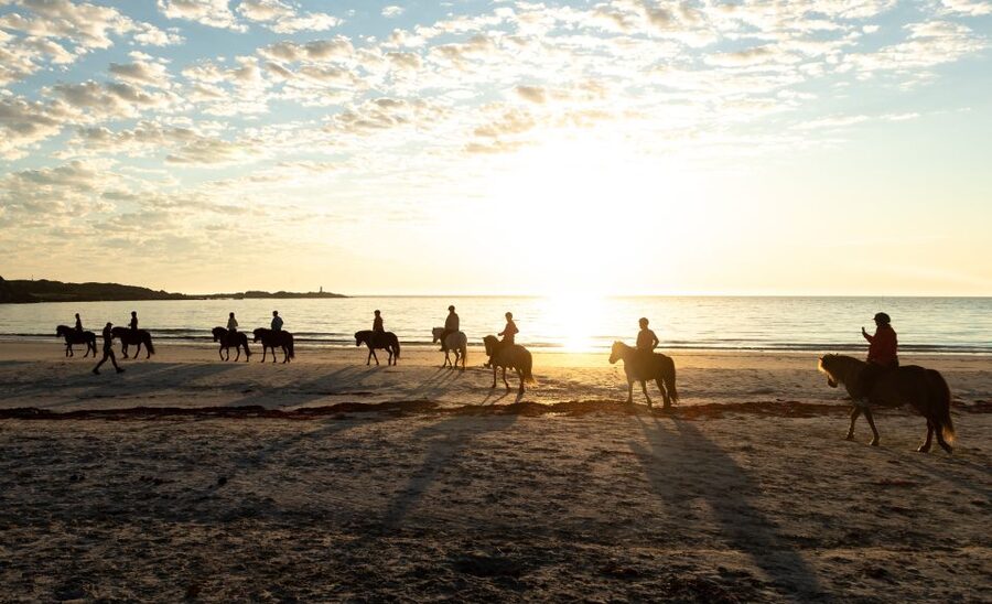 Midnight sun tour - Who this 90-minute midnight sun ride is best for